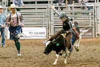 Bull Riding Sunday
